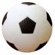 AppleRound 2-Pack: Each Pack Includes 4 Sports Balls and 1 Pump